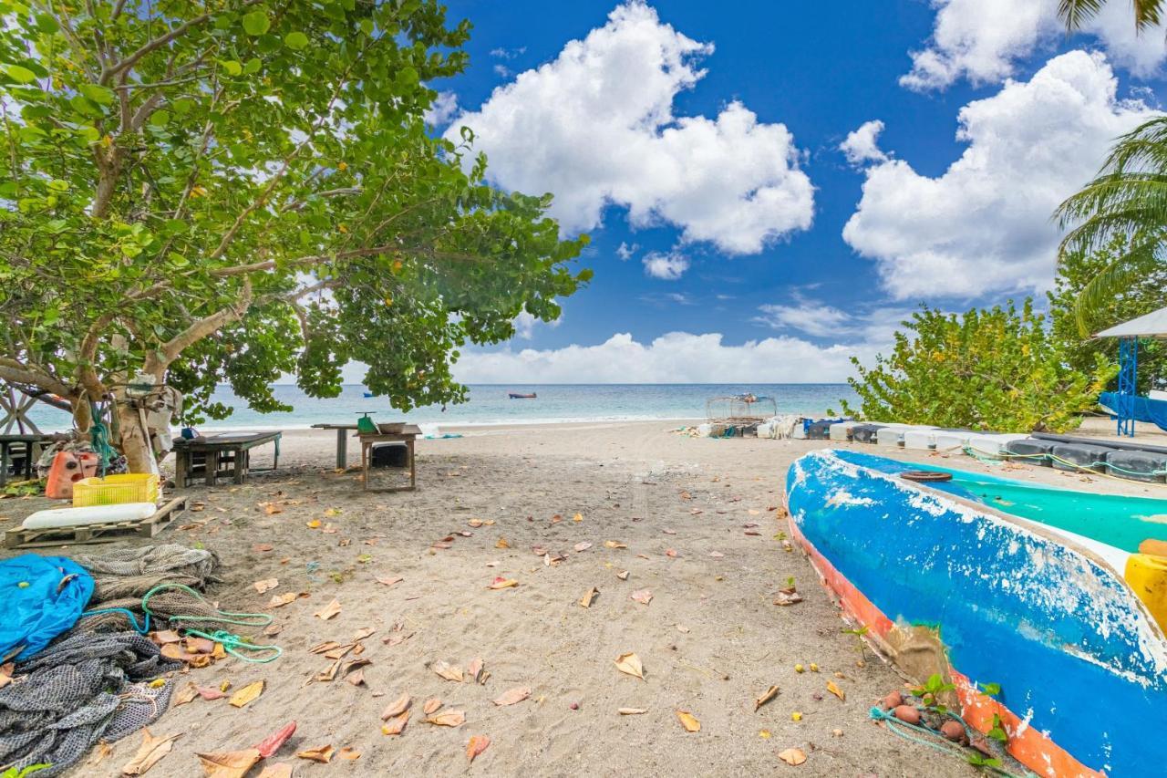 Appartement Charmant Au Carbet Avec Vue Sur La Mer 50 M² Le Carbet Ngoại thất bức ảnh